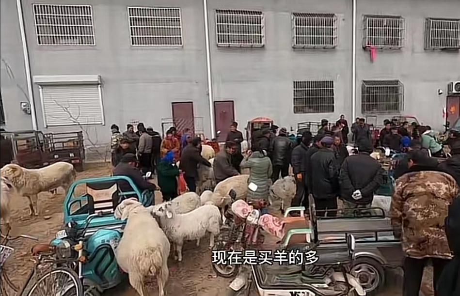 微信圖片_20230320095550.jpg